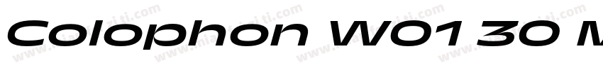 Colophon W01 30 Medium字体转换